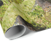 Blauwtonghagedis kruipend in het gras, cadeaupapier (Rol Hoek)