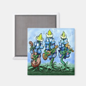 Blauwtonnetten Magneet (Voorkant / Achterkant)