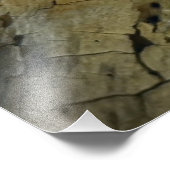 Blauwval Foto Afdruk (Hoek)