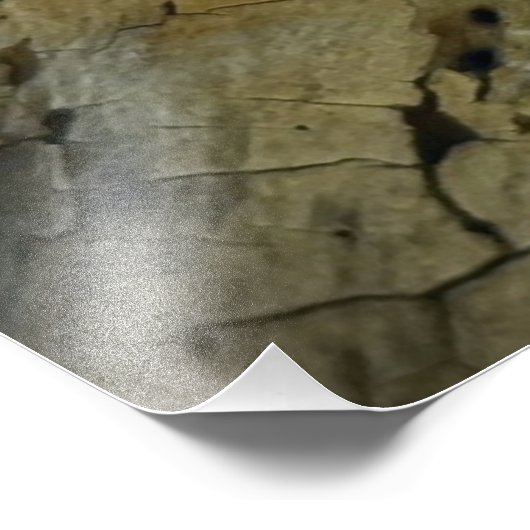 Blauwval Foto Afdruk (Hoek)