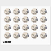 Blauwval Ronde Sticker (Vel)