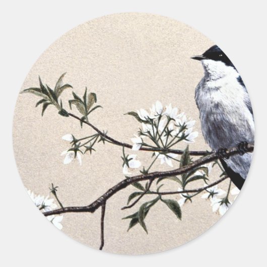 Blauwval Ronde Sticker (Voorkant)