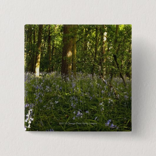 Blauwvallen in een bos vierkante button 5,1 cm (Voorkant)