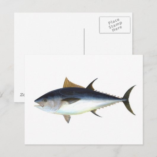 Blauwvintonijn Briefkaart (Voorkant / Achterkant)