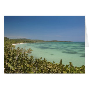 Blauwvintonijn, Jamaica-zuidwestkust