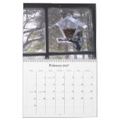 Blauwvintonijn - Kalender (Feb 2027)