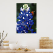 blauwvintonijn met bijen poster (Keuken)