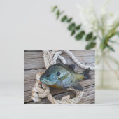 Blauwvintonijn op de haven en aan de touw briefkaart (Staand voorkant)