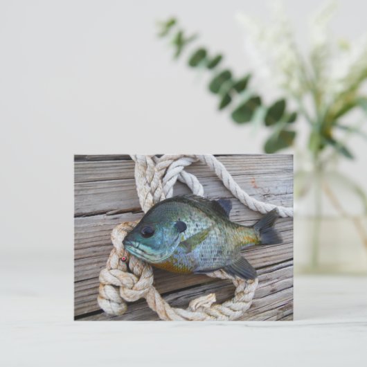 Blauwvintonijn op de haven en aan de touw briefkaart (Staand voorkant)