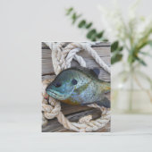 Blauwvintonijn op de haven en aan de touw briefkaart (Staand voorkant)