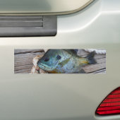 Blauwvintonijn op de haven en aan de touw bumpersticker (Op auto)