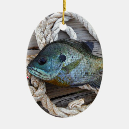 Blauwvintonijn op de haven en aan de touw keramisch ornament (Voorkant)