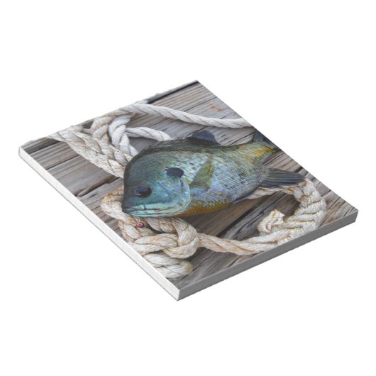 Blauwvintonijn op de haven en aan de touw notitieblok (Schuin)