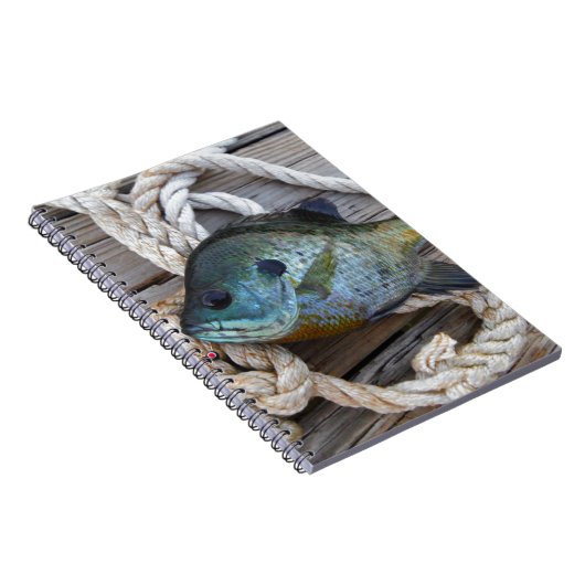 Blauwvintonijn op de haven en aan de touw notitieboek (Rechterzijde)