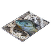 Blauwvintonijn op de haven en aan de touw notitieboek (Linkerzijde)