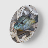 Blauwvintonijn op de haven en aan de touw ronde klok (Hoek)