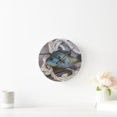 Blauwvintonijn op de haven en aan de touw ronde klok (Huis)