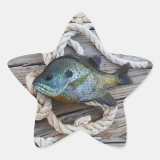 Blauwvintonijn op de haven en aan de touw ster sticker