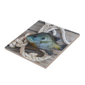 Blauwvintonijn op de haven en aan de touw tegeltje (Zijkant)