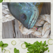 Blauwvintonijn op de haven en aan de touw theedoek (Gevouwen)