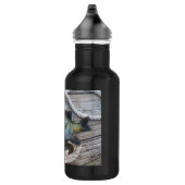 Blauwvintonijn op de haven en aan de touw waterfles  (Rechts)