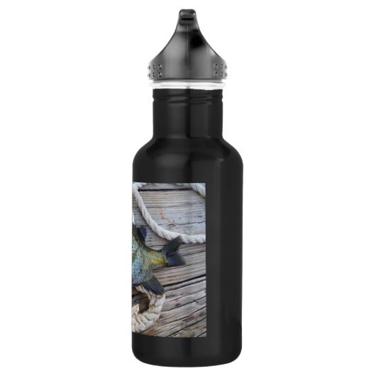 Blauwvintonijn op de haven en aan de touw waterfles  (Rechts)