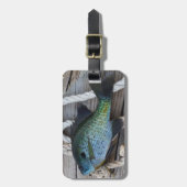 blauwvintonijn op het dok bagagelabel (Voorkant verticaal)