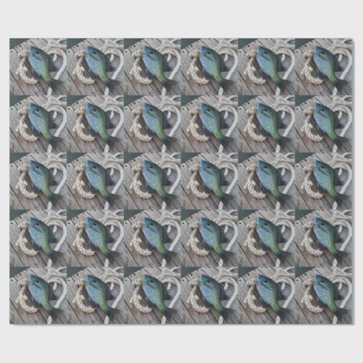 blauwvintonijn op het dok cadeaupapier (Vlak)