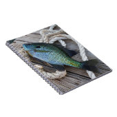 blauwvintonijn op het dok notitieboek (Rechterzijde)