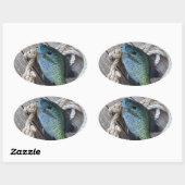 blauwvintonijn op het dok ovale sticker (Vel)