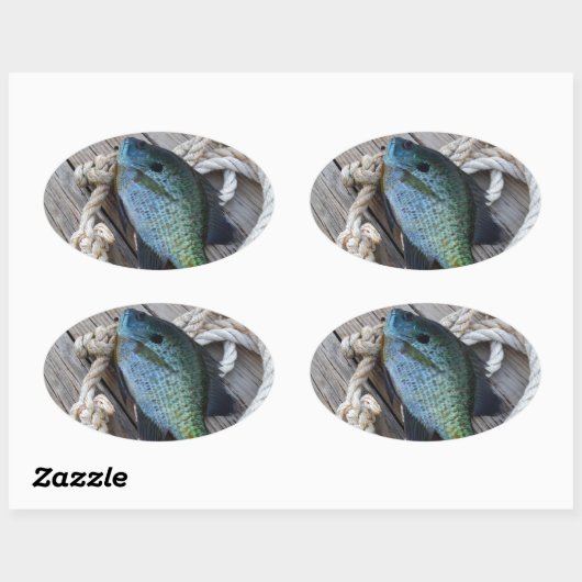 blauwvintonijn op het dok ovale sticker (Vel)