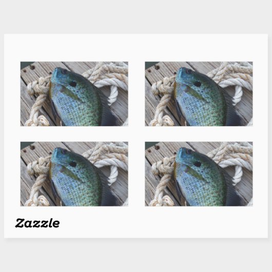 blauwvintonijn op het dok rechthoekige sticker (Vel)