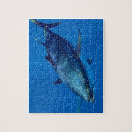 Blauwvintonijn puzzel (Verticaal)