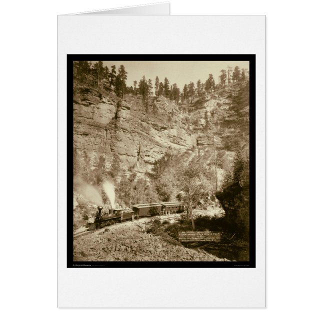 Blauwvintonijn zwarte heuvels SD 1890 (Voorkant)