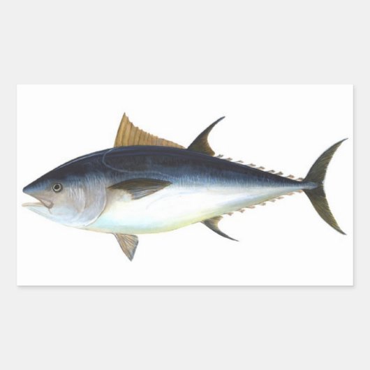 Blauwvintonijnillustratie Rechthoekige Sticker (Voorkant)