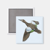 Blauwvleugelige Blauwgroen magneet (Voorkant / Achterkant)