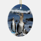 Blauwvoetboeien op de Galapagos-eilanden Keramisch Ornament (Rechts)