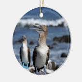 Blauwvoetboeien op de Galapagos-eilanden Keramisch Ornament (Links)