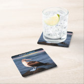 Blauwvoetganger Kartonnen Onderzetters (Insitu)