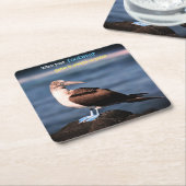 Blauwvoetganger Kartonnen Onderzetters (Schuin)