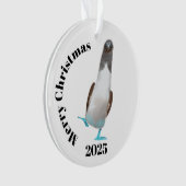 Blauwvoetige biddy ornament (voorkant)