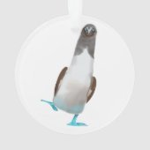 Blauwvoetige biddy ornament (achterkant)