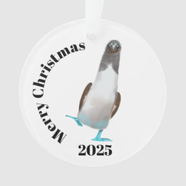 Blauwvoetige biddy ornament