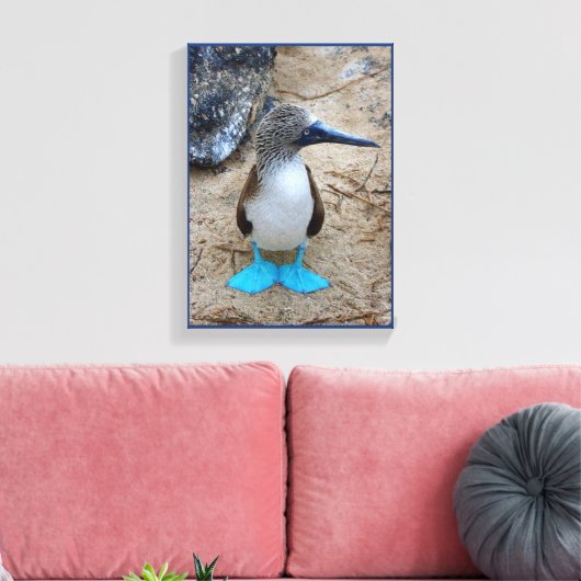 blauwvoetige booby canvas afdruk (Insitu (Woonkamer))