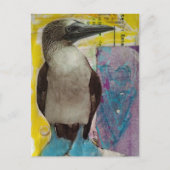 Blauwvoetige vogel mixed media collage briefkaart (Voorkant)