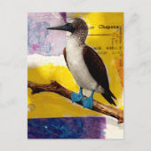 Blauwvoetige Vogelcollage Briefkaart (Voorkant)