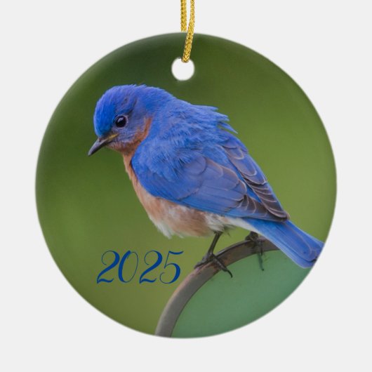 Blauwvogel 2021 kerstkeramisch Ornament (Voorkant)