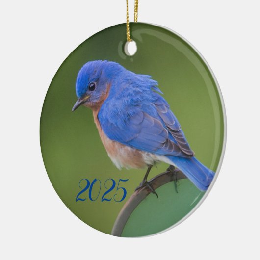 Blauwvogel 2021 kerstkeramisch Ornament (Links)