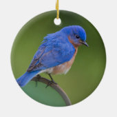 Blauwvogel 2021 kerstkeramisch Ornament (Achterkant)