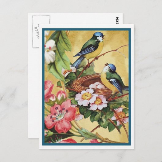 blauwvogel 7 briefkaart (Voorkant / Achterkant)